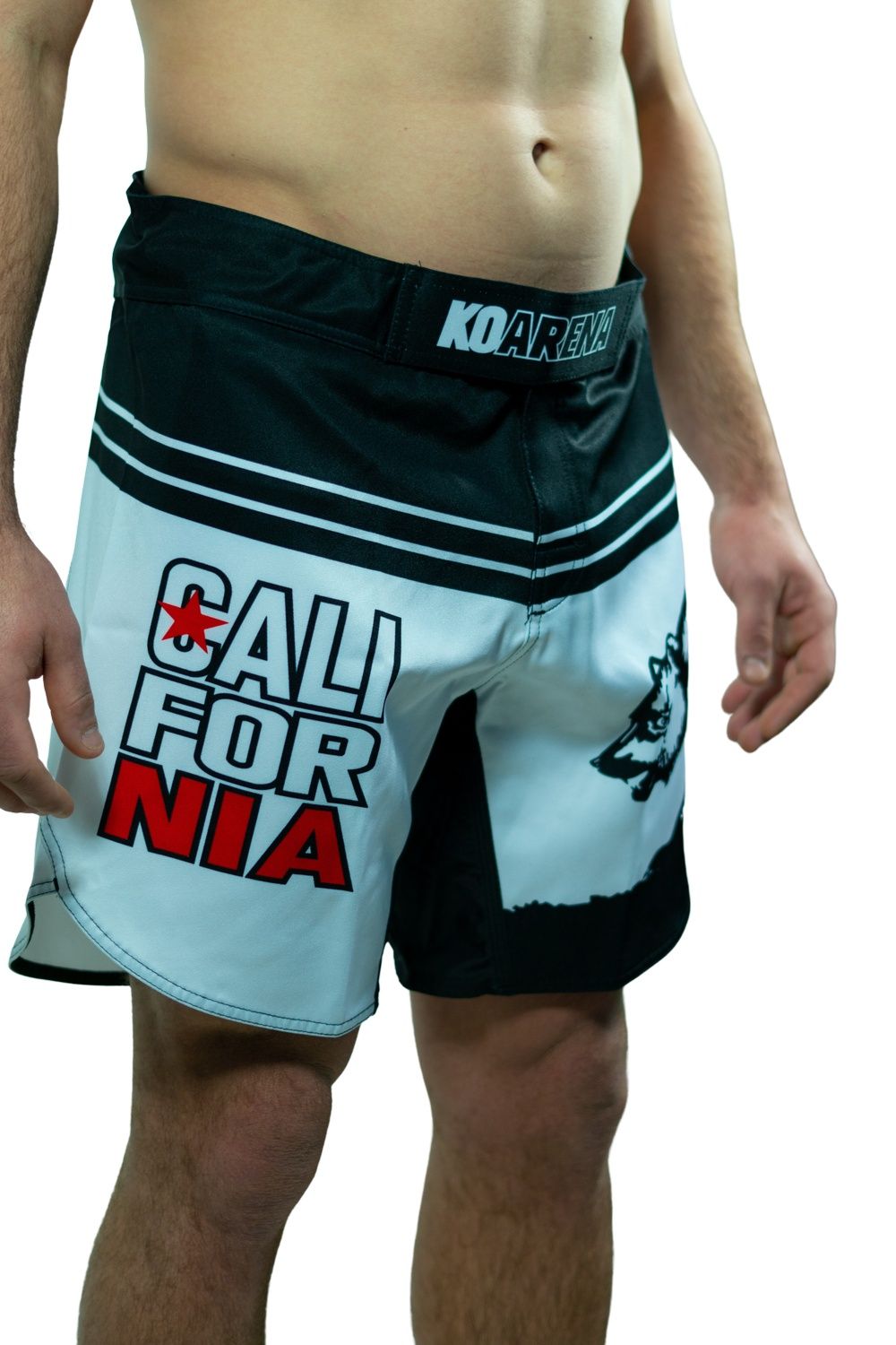 KOARENA Cali Bear Fight Shorts Blanco – KOARENA Fight Company